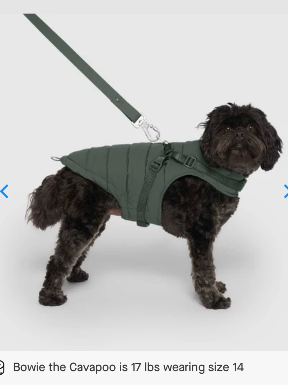 Canada Pooch Dog Harness Puffer